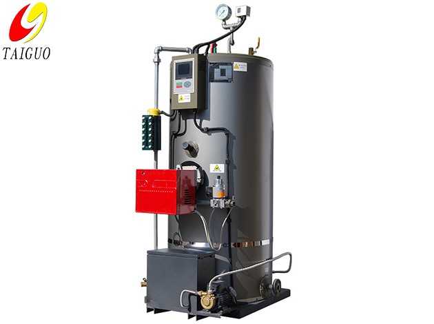 Small vertical gas oil steam generator