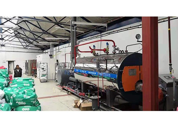 1T/H Gas Steam Boiler Used for Laundry Room