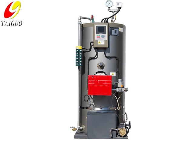 Small vertical gas oil steam generator