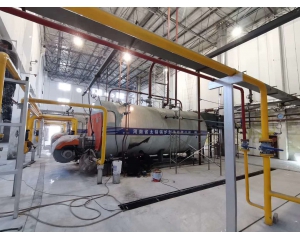 What is the feature of hospital use steam boiler