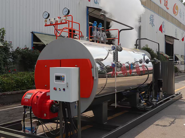 WNS Oil Gas Steam Boiler