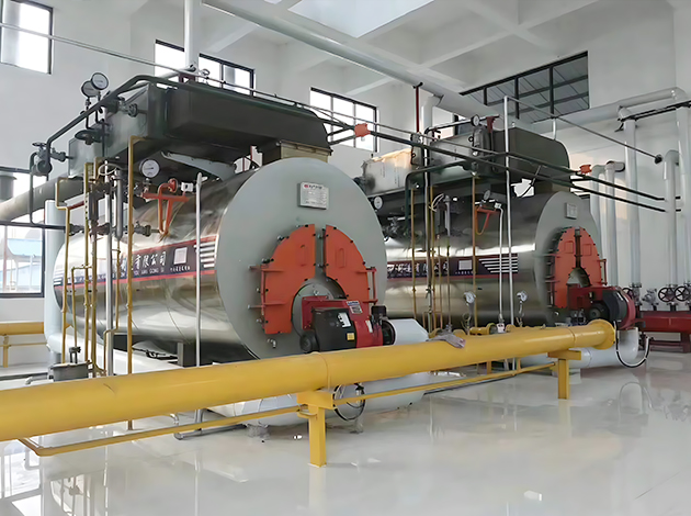 CWNS Oil Gas Hot Water Boiler