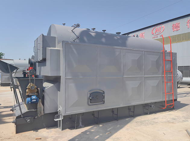 DZL Biomass Steam/Hot Water Boiler