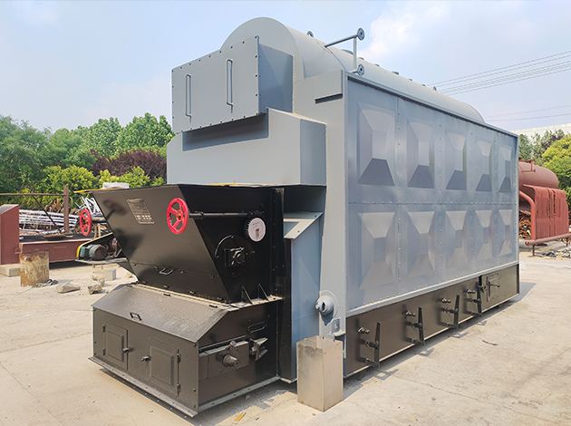 DZL Biomass Steam/Hot Water Boiler